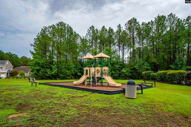 552 Eagles Rest Drive, Chapin, SC 29036