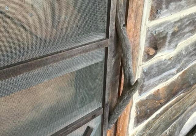 22765 County Road 203, Wheatland, MO 65779