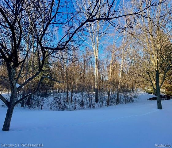 5046 Clintonville Pines Drive 13, Independence Charter Township, MI 48346