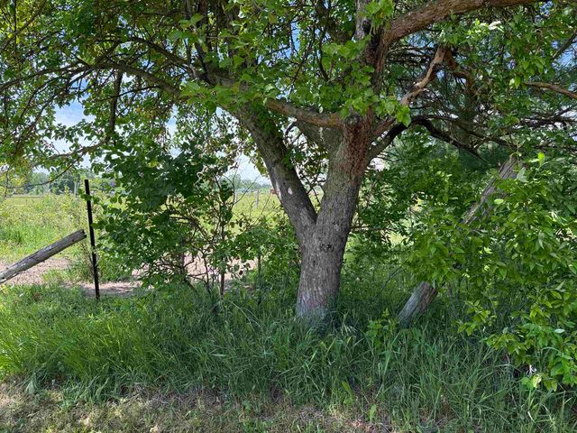 85 Busch Lane, Tawas City, MI 48763