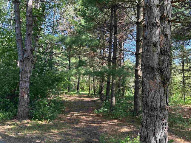 85 Busch Lane, Tawas City, MI 48763
