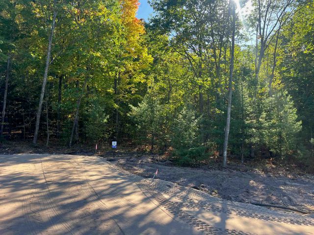 4655 Leaning Birch Drive, Traverse City, MI 49685