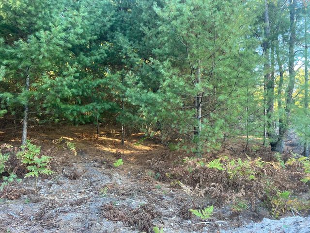 4655 Leaning Birch Drive, Traverse City, MI 49685