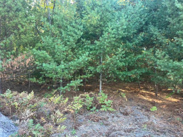 4655 Leaning Birch Drive, Traverse City, MI 49685