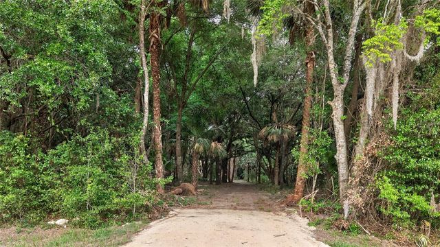 0 N US HWY 301, Citra, FL 32113