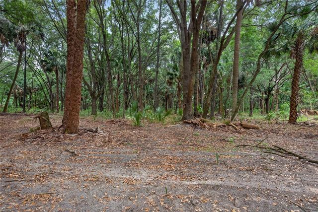 0 N US HWY 301, Citra, FL 32113