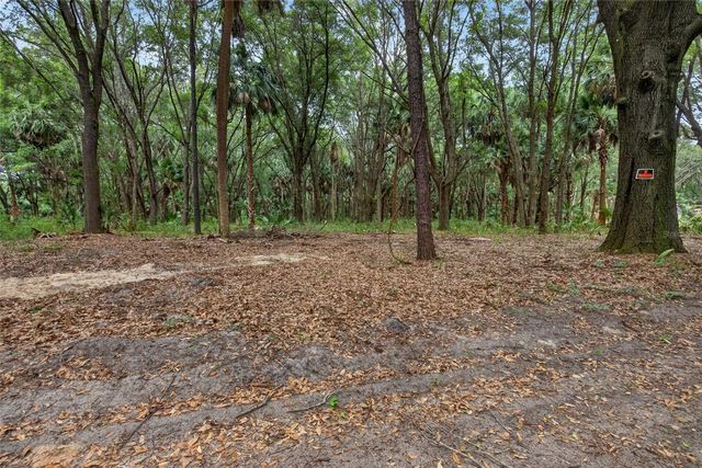0 N US HWY 301, Citra, FL 32113