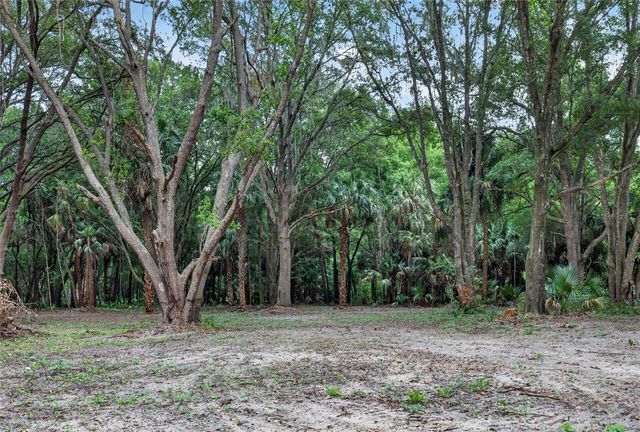 0 N US HWY 301, Citra, FL 32113
