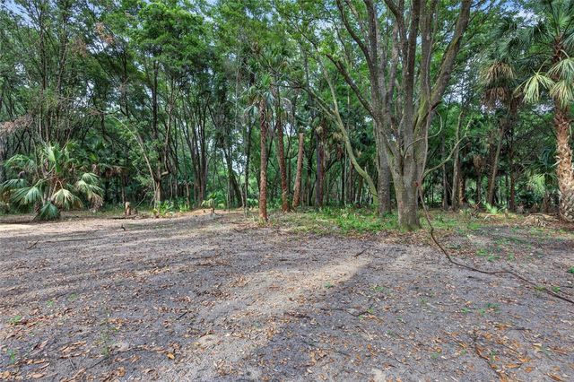 0 N US HWY 301, Citra, FL 32113