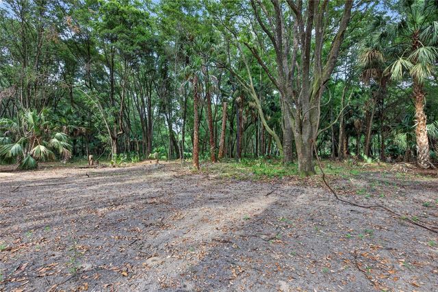 0 N US HWY 301, Citra, FL 32113