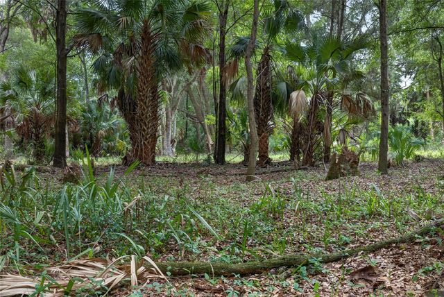 0 N US HWY 301, Citra, FL 32113