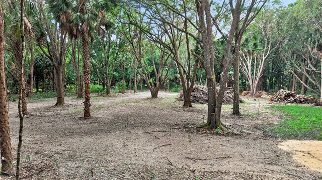 0 N US HWY 301, Citra, FL 32113