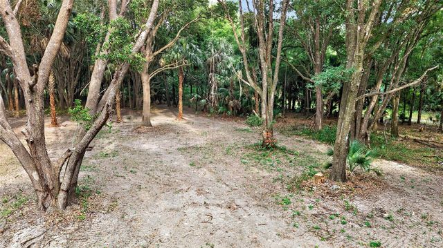 0 N US HWY 301, Citra, FL 32113