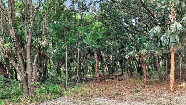0 N US HWY 301, Citra, FL 32113