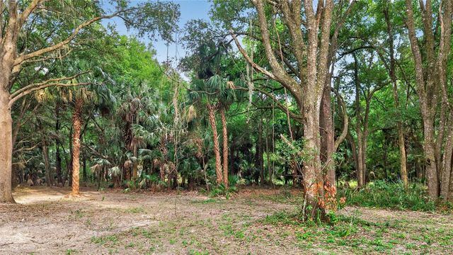 0 N US HWY 301, Citra, FL 32113