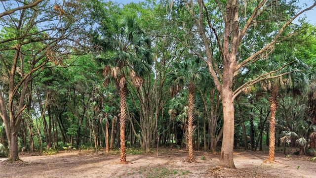 0 N US HWY 301, Citra, FL 32113