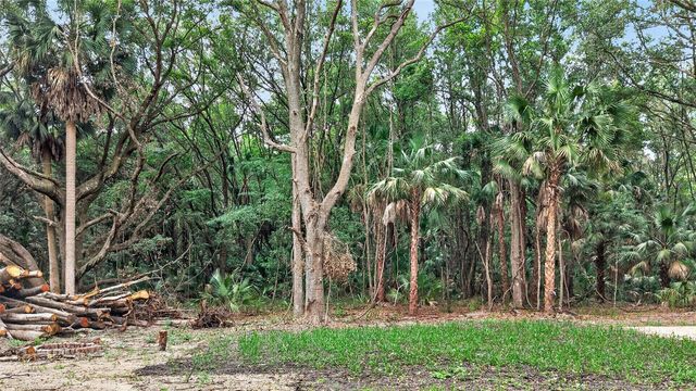 0 N US HWY 301, Citra, FL 32113