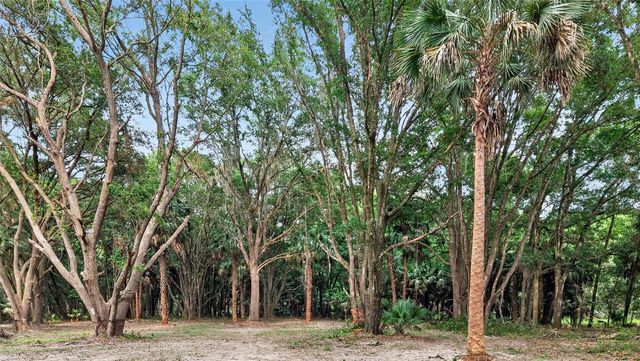 0 N US HWY 301, Citra, FL 32113