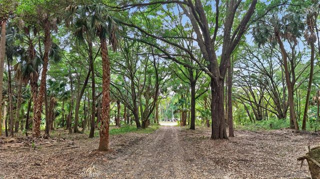 0 N US HWY 301, Citra, FL 32113