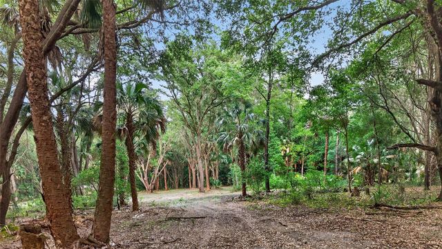 0 N US HWY 301, Citra, FL 32113