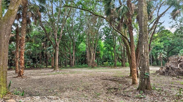 0 N US HWY 301, Citra, FL 32113