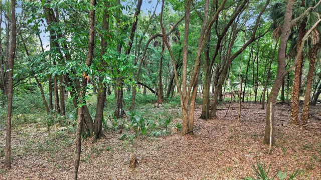 0 N US HWY 301, Citra, FL 32113