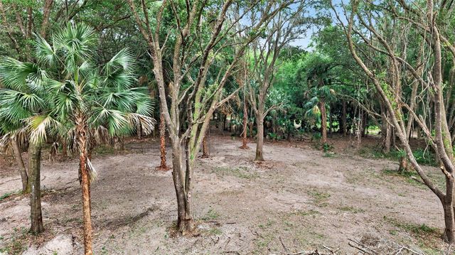 0 N US HWY 301, Citra, FL 32113