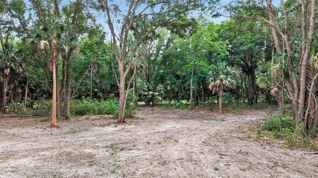 0 N US HWY 301, Citra, FL 32113