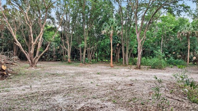 0 N US HWY 301, Citra, FL 32113