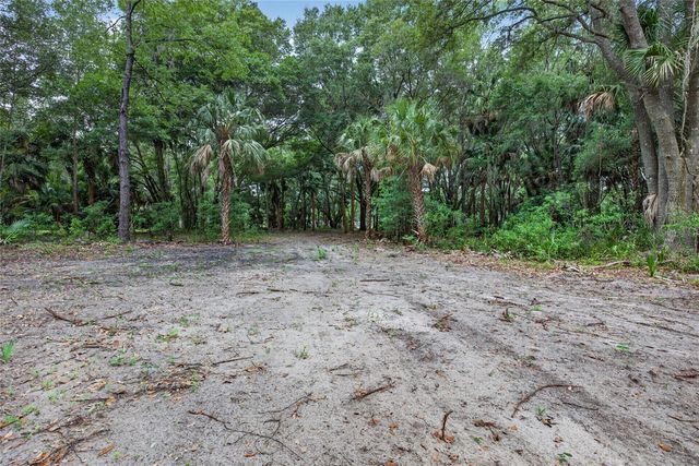 0 N US HWY 301, Citra, FL 32113