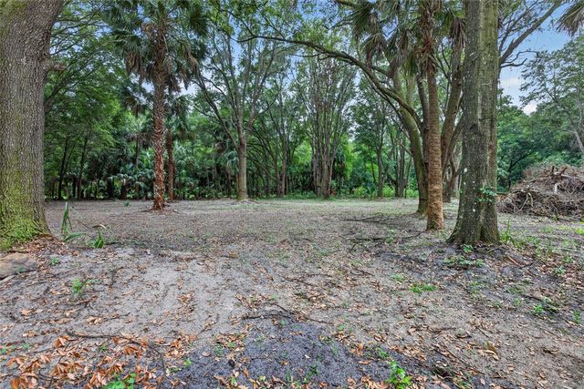 0 N US HWY 301, Citra, FL 32113