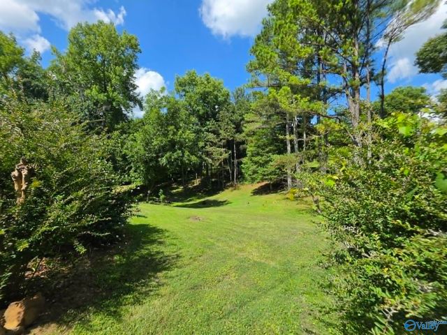 33 County Road 1205, Vinemont, AL 35179