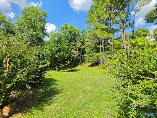 33 County Road 1205, Vinemont, AL 35179