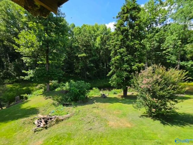 33 County Road 1205, Vinemont, AL 35179