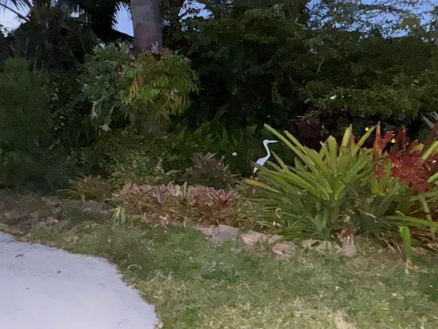 5141 NE 4th Avenue, Fort Lauderdale, FL 33334