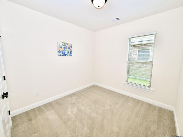 17065 White Ibis Ave, Prairieville, LA 70769