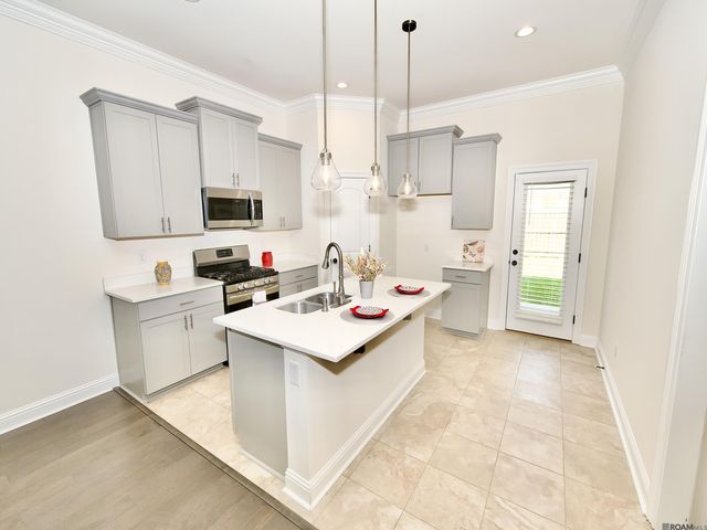 17065 White Ibis Ave, Prairieville, LA 70769
