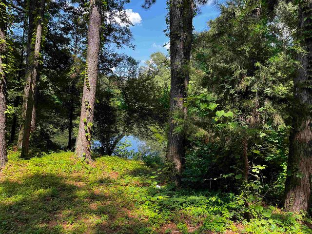 4258 OLD BROWNSVILLE RD, Unincorporated, TN 38135