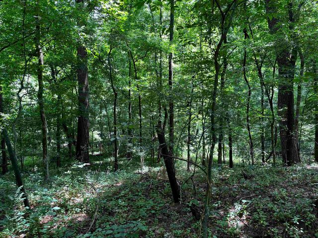 4258 OLD BROWNSVILLE RD, Unincorporated, TN 38135