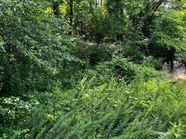 4258 OLD BROWNSVILLE RD, Unincorporated, TN 38135