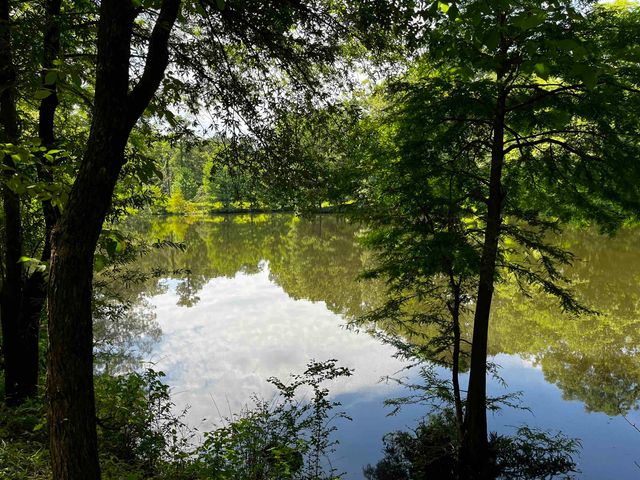 4258 OLD BROWNSVILLE RD, Unincorporated, TN 38135