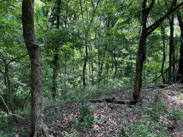4258 OLD BROWNSVILLE RD, Unincorporated, TN 38135