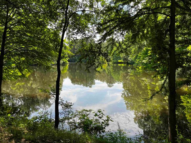 4258 OLD BROWNSVILLE RD, Unincorporated, TN 38135