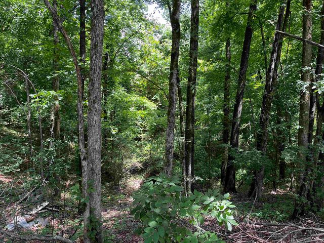 4258 OLD BROWNSVILLE RD, Unincorporated, TN 38135