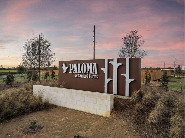 17310 White Peace Drive, Waller, TX 77484