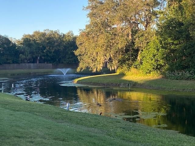 1371 VINE STREET, Daytona Beach, FL 32117