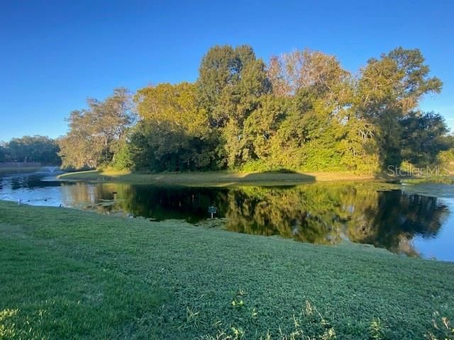 1371 VINE STREET, Daytona Beach, FL 32117