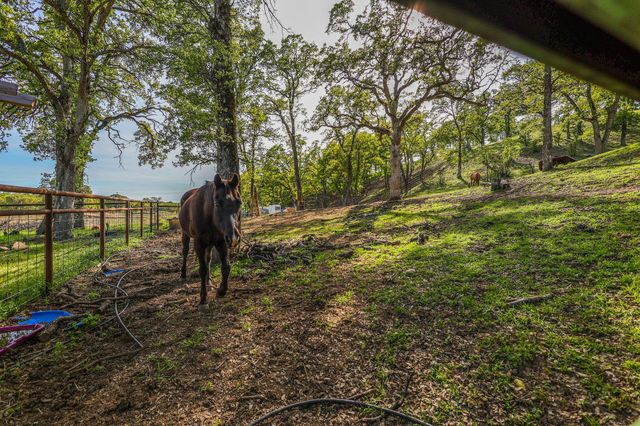 16705 Matlock Loop Road, Cottonwood, CA 96022