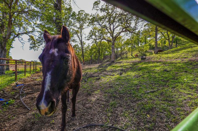 16705 Matlock Loop Road, Cottonwood, CA 96022