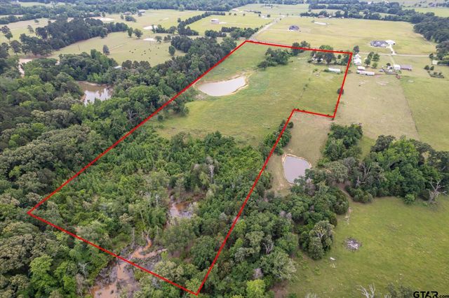 881 VZ County Road 4605, Ben Wheeler, TX 75754